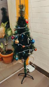 The Belgian Waffle Co