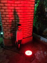 South Indian, House of Idly & Dosa