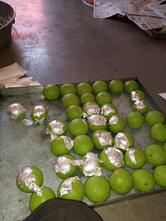 मनीष भाई हलवाई बालाजी केट्स परतापुर