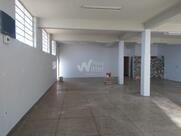 Elite Tabacaria Beer