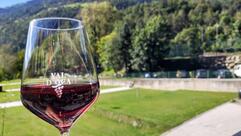 Radlstadl & Camping Saltaus