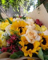 Terra Paisagismo e Floricultura