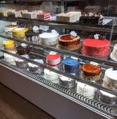 Sego Fresche Thalappara