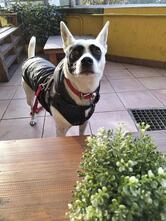 Bar Bianco