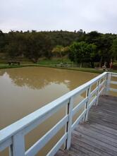 Pesque e pague do Bigode