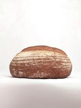 The Rising Bakery di Sibilla Zandonini & Co. SNC