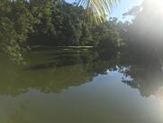 Sítio Colinas Verdes - Irmãos Cani