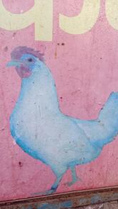 TAWAKKAL MATTON AND CHICKEN SHOP