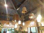 Evergreenz - De Eemhof