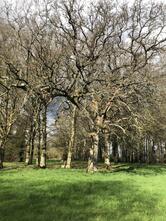 Château de Trebodennic