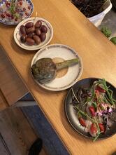 Les Enfants Sauvages