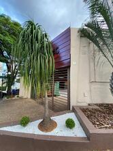 Edwiges Pizza E Bistrô