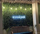 Sneak Peek Cafe - The Pure Veg Restro