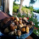 La Quercia Agriturismo Ristorazione