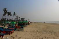 Pinacolada Beach Shack