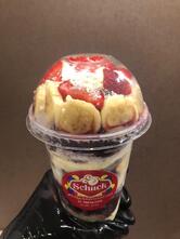 Schuck Sorvetes E Açaí (fábrica E Loja)