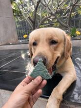 The Barkery by Ruhee