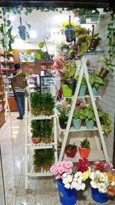 FNP: Florist & Cake Shop in Ranchi