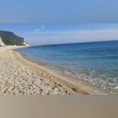 Panificio Industriale Sandro Stacchiotti Srl