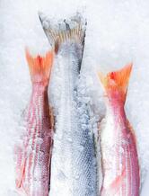 Fishalicious Seafood Market & Take away