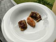 Palazzo Riama Ristorante-Agriresort