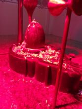 New Madni Hotel Veg And Nonveg