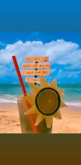 Point 14 Bar QUIOSQUE 12