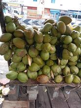 மூர்த்தி கோக்கனட்