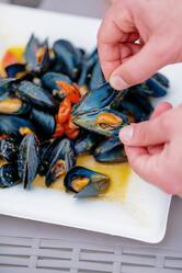 Nicolaus - Il Bistrot dal Mare