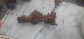 Mughlai Ballimaran Nahari Aligarh