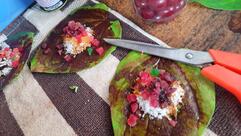 Hotel Ramdev Kathiyawadi