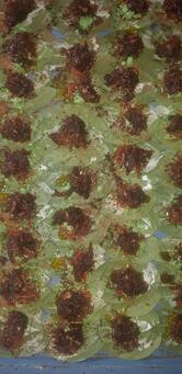 Dastagiri pan center