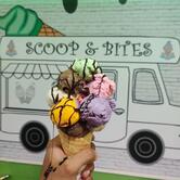 Scoop & bites
