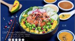 Sushi Origami Legnano