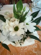 Agriturismo Al Portego