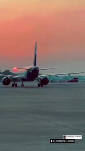 Hayat Hotel, Beef Hotel