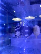 Pico Gelato - Lanciani