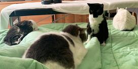 Dai Micini di casa - Fine Home Restaurant