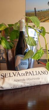 Soc. Agr. Selva di Paliano