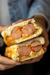 Marcelo's dog Botucatu