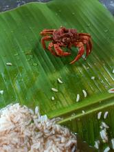 Mettur Moorthy Fish Stall