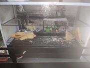 राजा भाई की अंडे, मोमोस एवं पेटीज़ की दुकान.