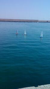 Bar Italia di Colella Modesto