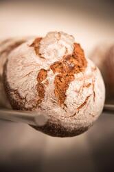 MicaPan - La Bottega