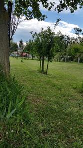 Panificio F.Lli Renzi