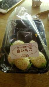 佑佐喜喜（ウサギ）