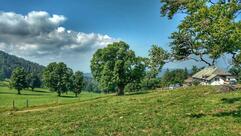 Métairie des Plânes