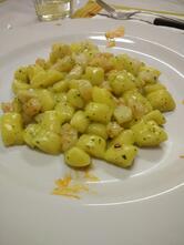 Stel S.A.S. Di Mugnai Stefania & C.