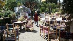 Cactus Lounge Cafe&Restaurant