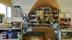 Mansolino Lucia Incoronata